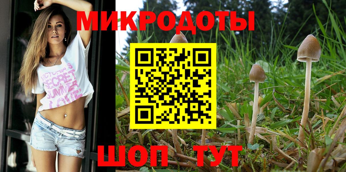 Люберцы  Псилоцибиновые грибы Psilocybine cubensis  Вход с VPN 