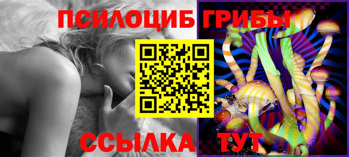 Галлюциногенные грибы Cubensis Люберцы
